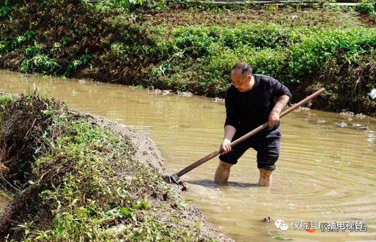 广东省村主任的角色与担当