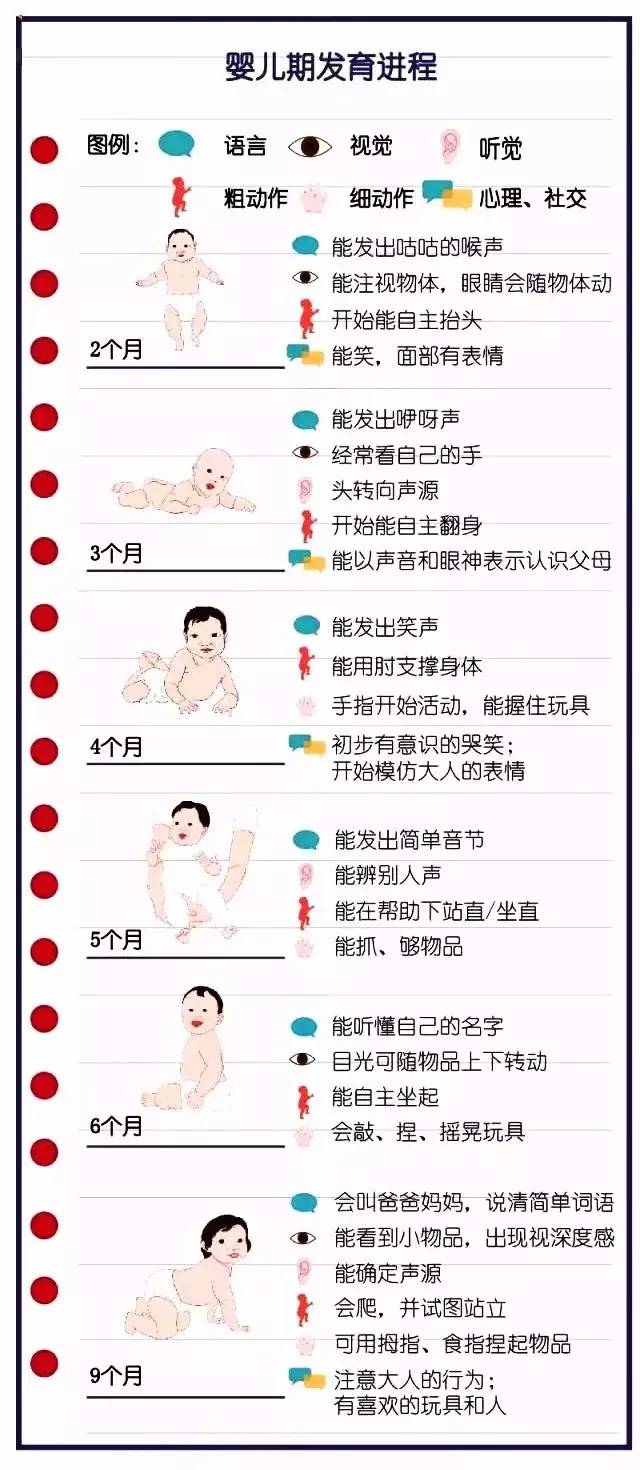 探索新生，3个月宝宝的成长图谱