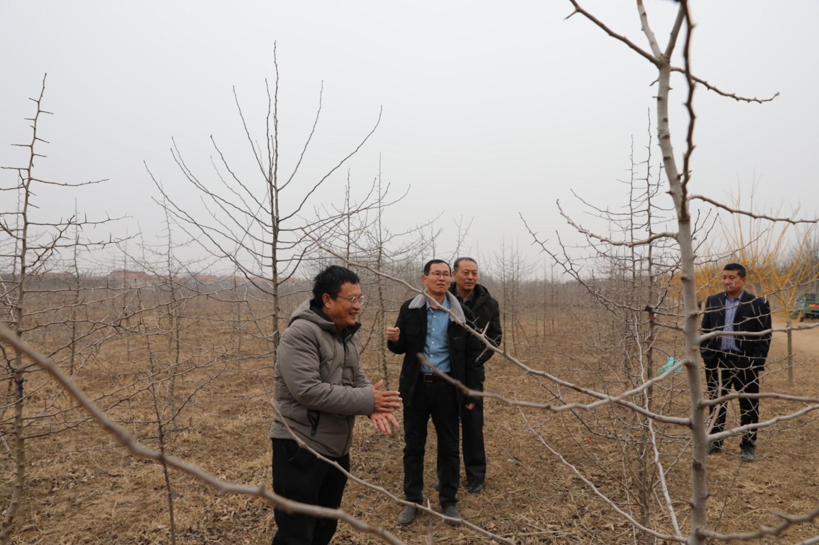 广东天地林业有限公司，绿色发展的先锋典范